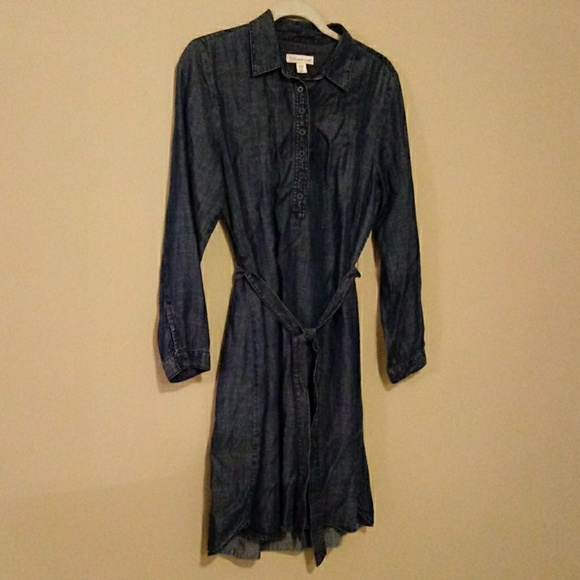 coldwater creek denim dress